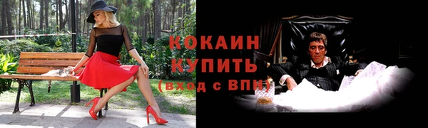 ПСИЛОЦИБИНОВЫЕ ГРИБЫ Новодвинск