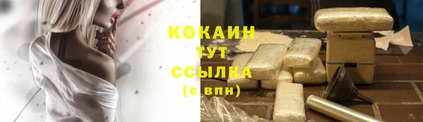 каннабис Новокубанск